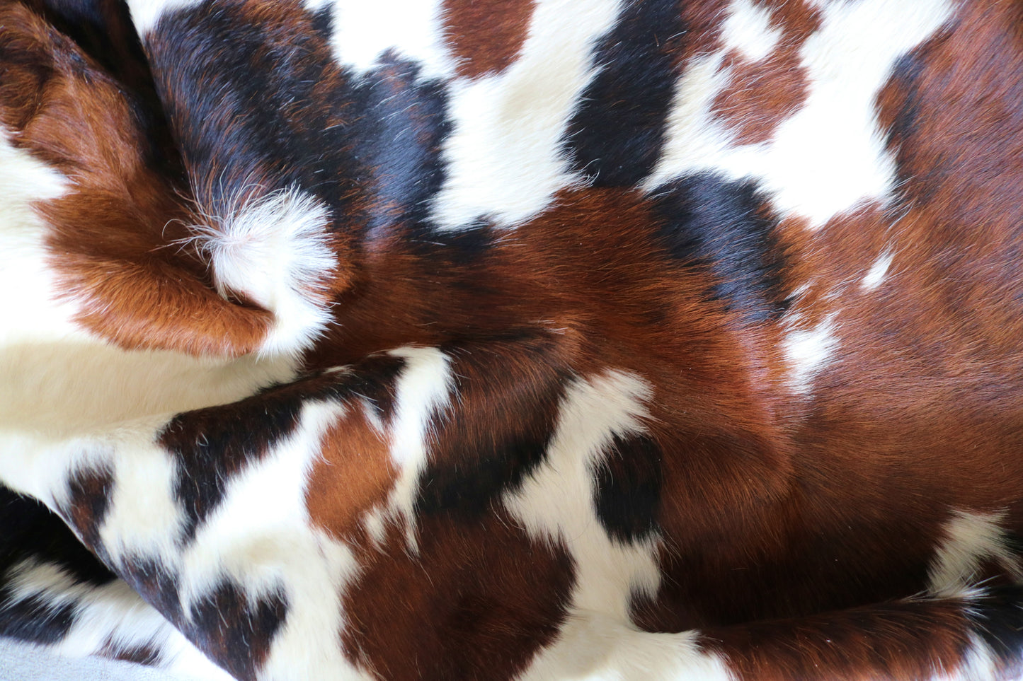 200498 - Cowhide Rug Tapis Peau de Vache SUPER BIG SIZE XXXL - Collection Quebecuir Premium