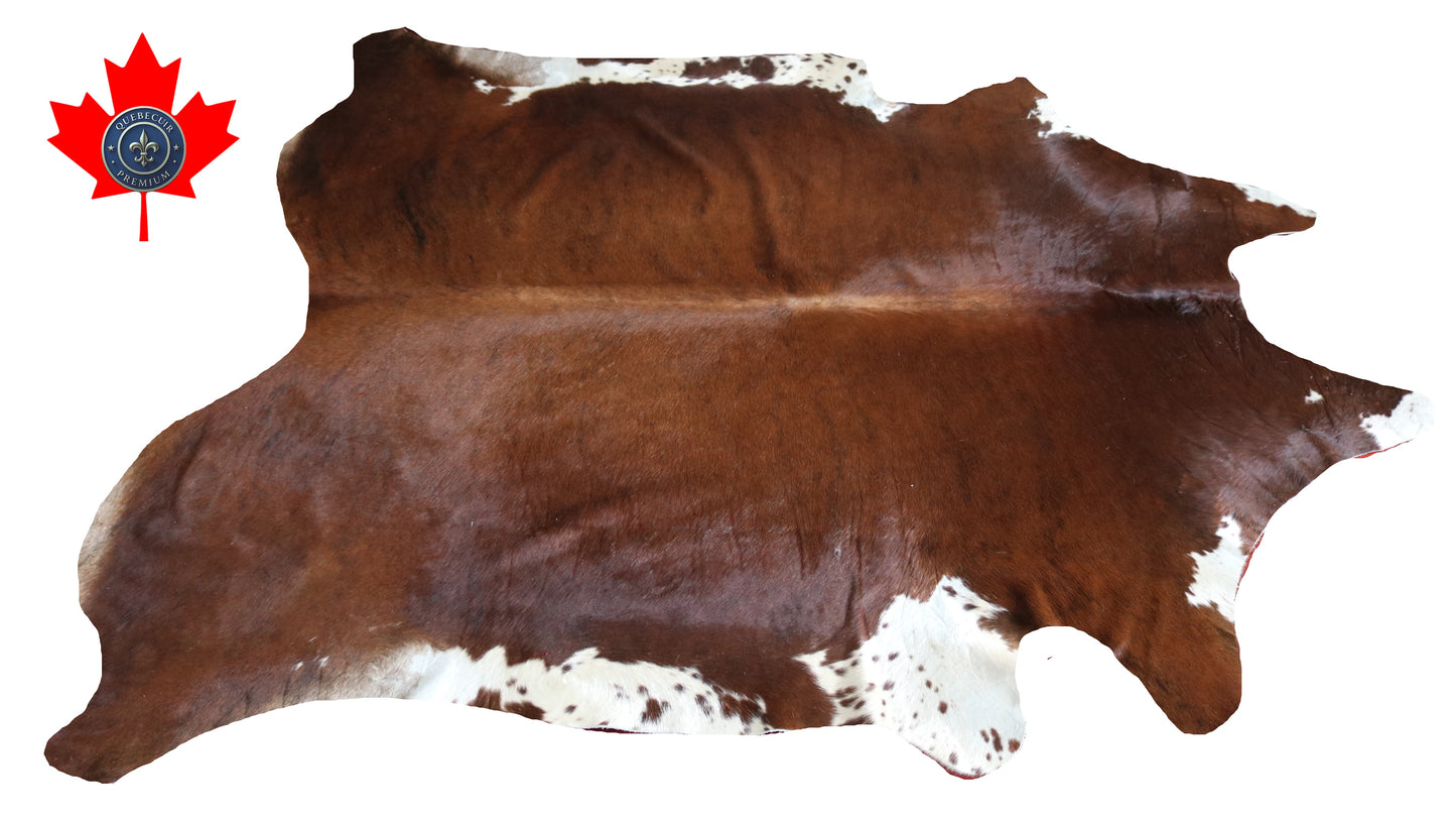99184 - Cowhide Rug Tapis Peau de Vache -BIG SIZE XL Collection Quebecuir Premium