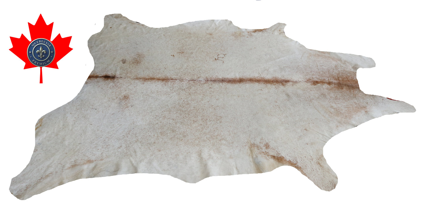 300520 - Cowhide Rug Tapis Peau de Vache -BIG SIZE XL Collection Quebecuir Premium
