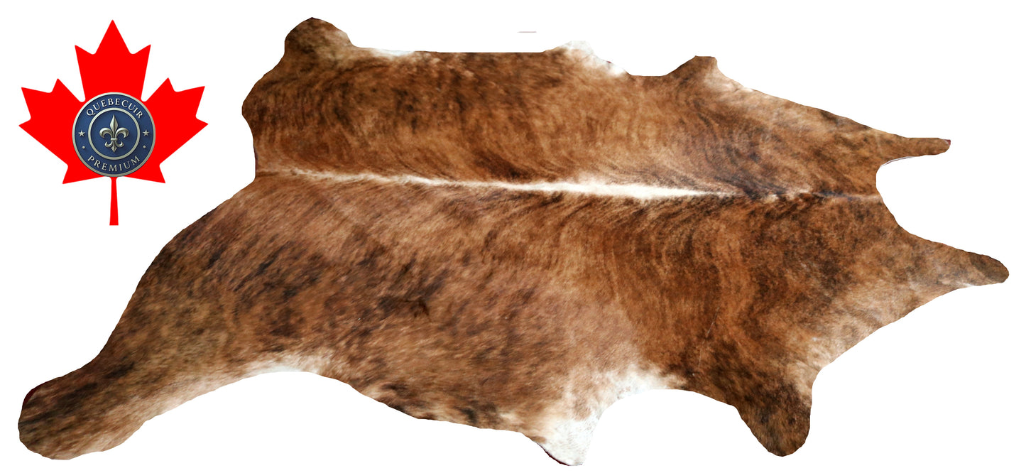 300522 - Cowhide Rug Tapis Peau de Vache -BIG SIZE XL Collection Quebecuir Premium