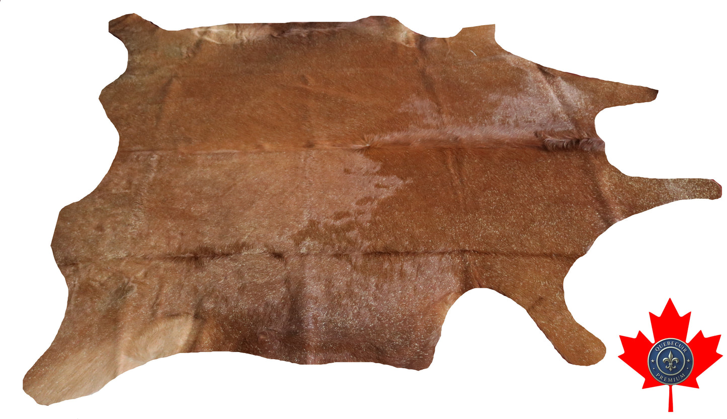 300534 - Cowhide Rug Tapis Peau de Vache GOLDEN METALLIC - Collection Quebecuir Premium