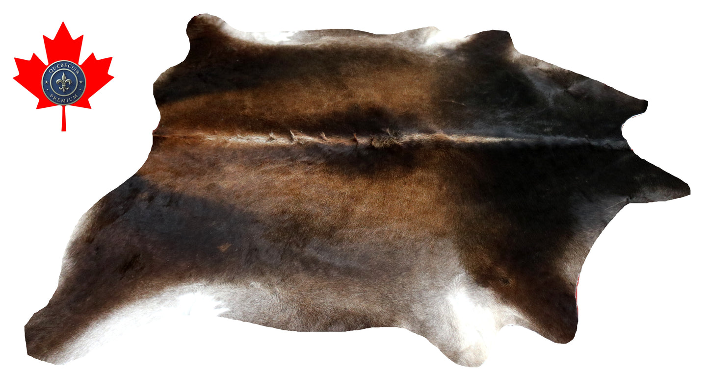 300579- Cowhide Rug Tapis Peau de Vache -BIG SIZE XL Collection Quebecuir Premium