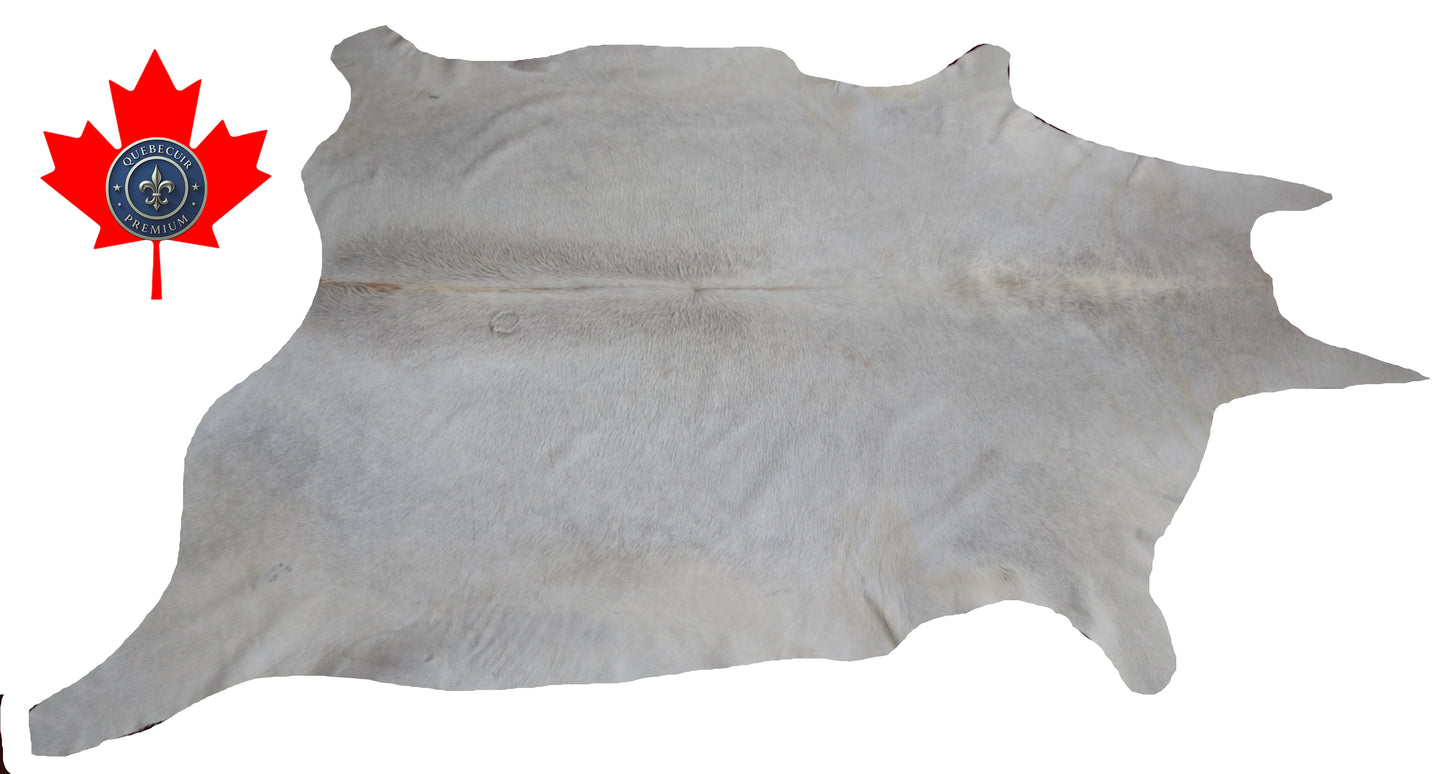 300581- Cowhide Rug Tapis Peau de Vache -BIG SIZE XL Collection Quebecuir Premium