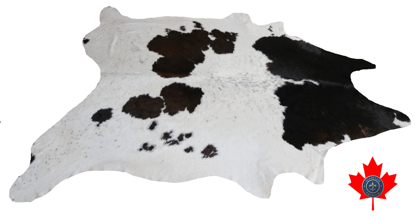 300586- Cowhide Rug Tapis Peau de Vache -BIG SIZE XL Collection Quebecuir Premium