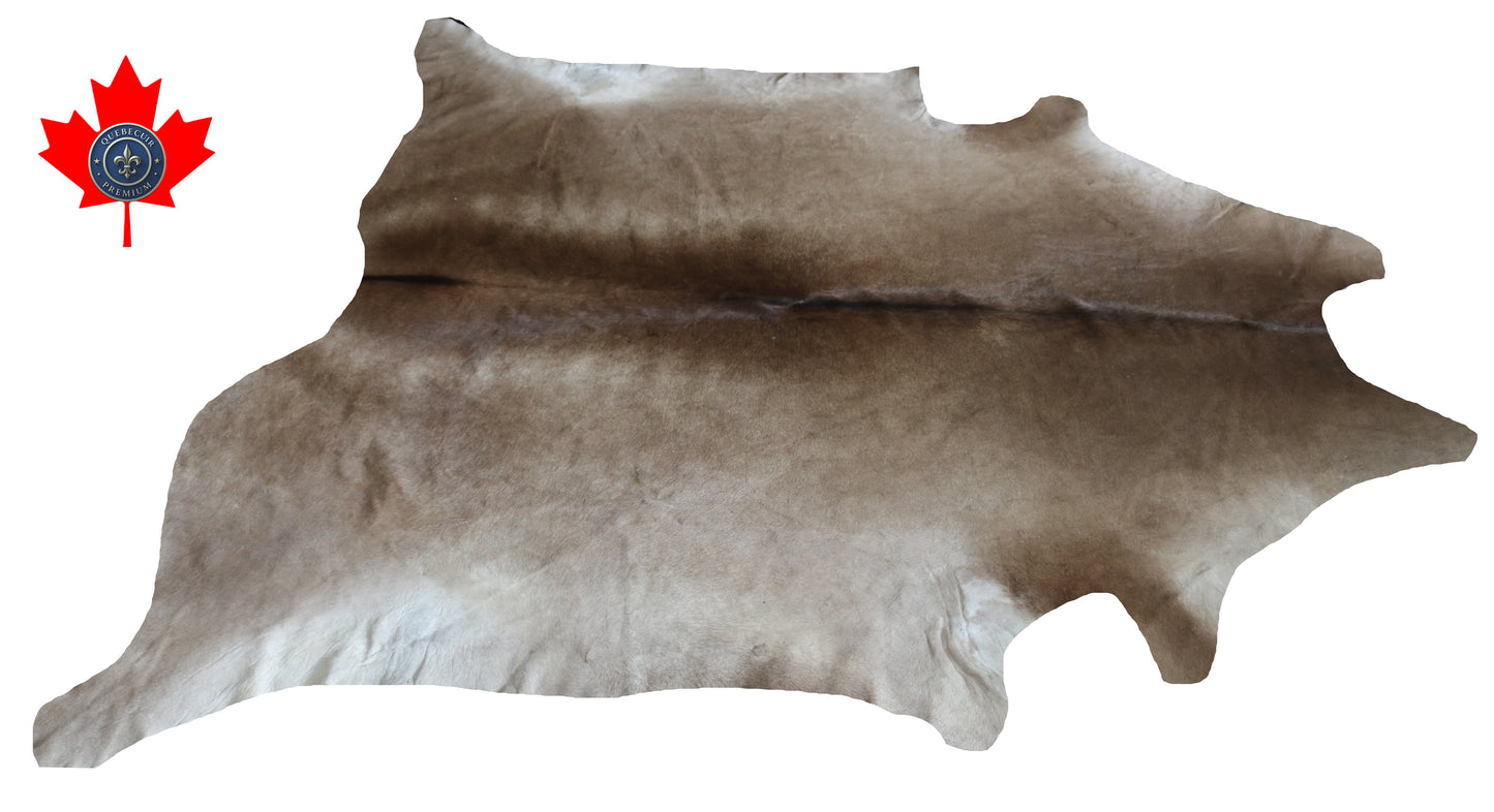 300592- Cowhide Rug Tapis Peau de Vache -BIG SIZE XL Collection Quebecuir Premium
