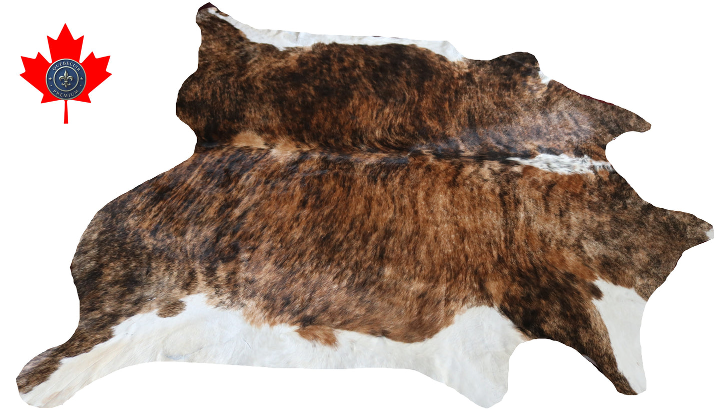 300593- Cowhide Rug Tapis Peau de Vache -BIG SIZE XL Collection Quebecuir Premium