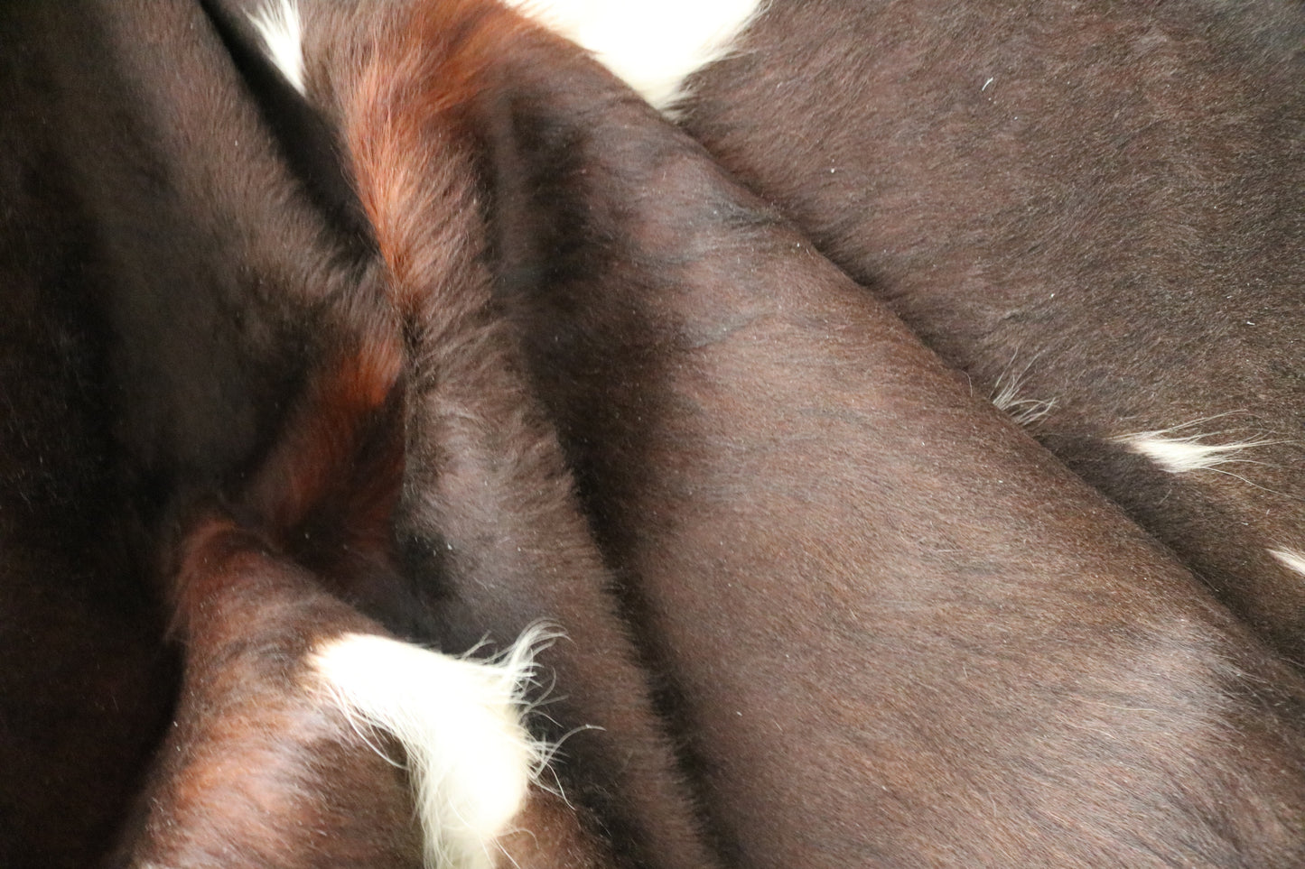 99204- Cowhide Rug Tapis Peau de Vache - Collection Quebecuir Premium