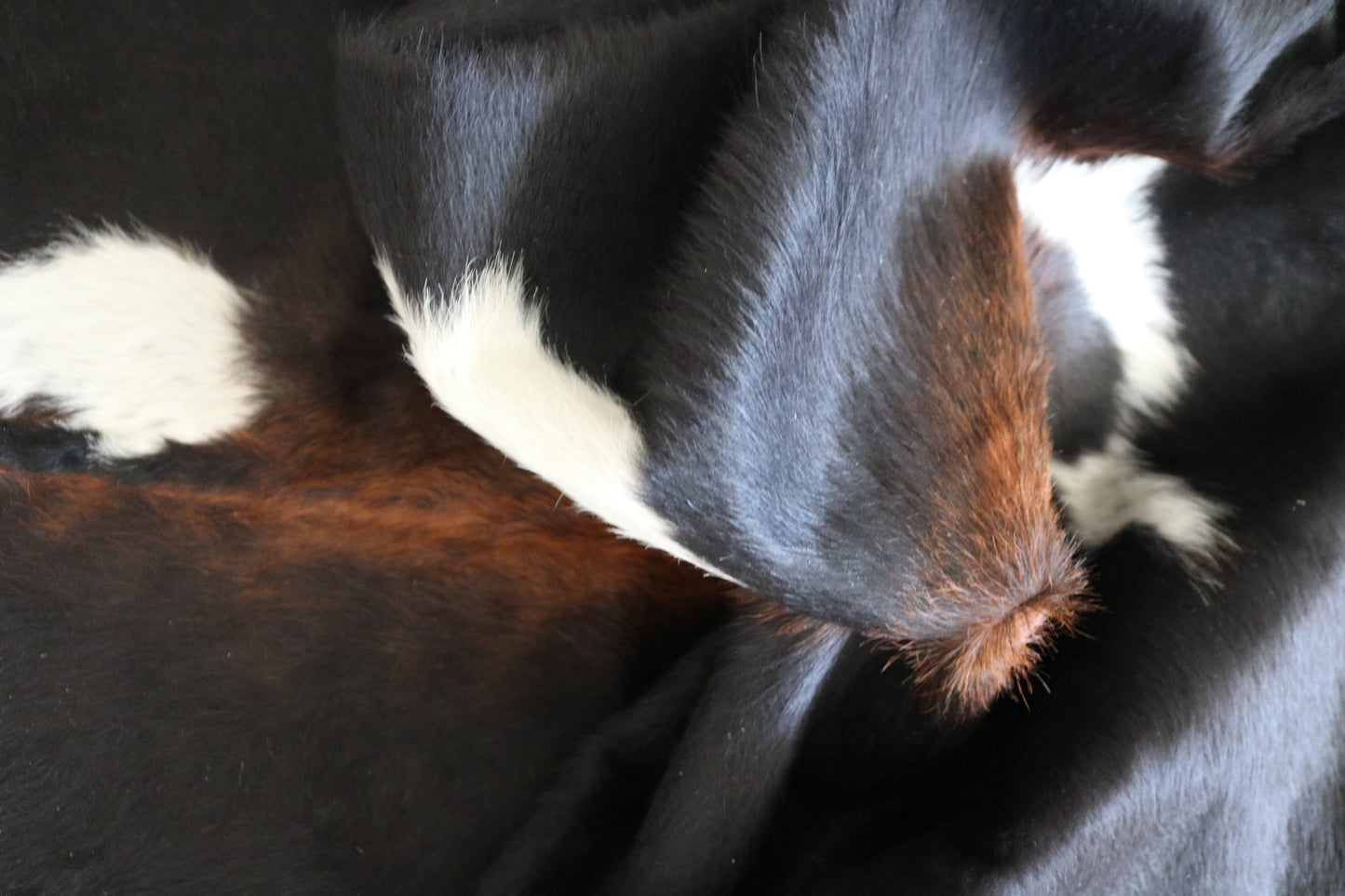 99587 Cowhide rug Collection Quebecuir Premium