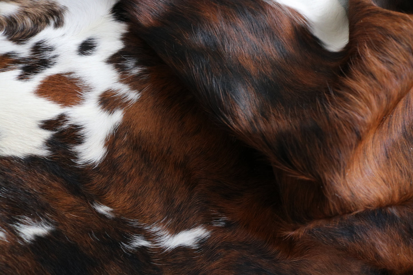 99228- Cowhide Rug Tapis Peau de Vache - Collection Quebecuir Premium