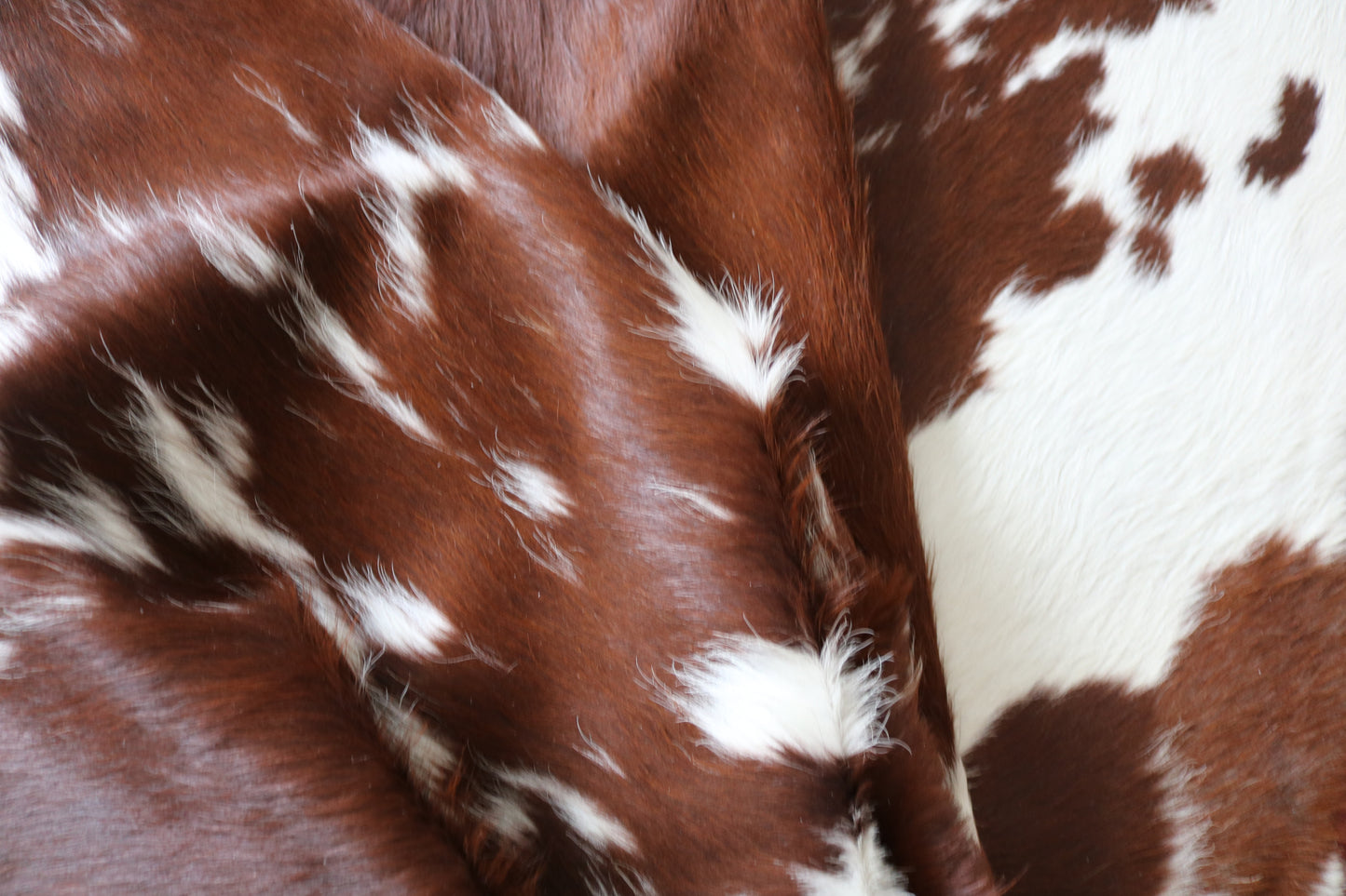99245- Cowhide Rug Tapis Peau de Vache - Collection Quebecuir Premium