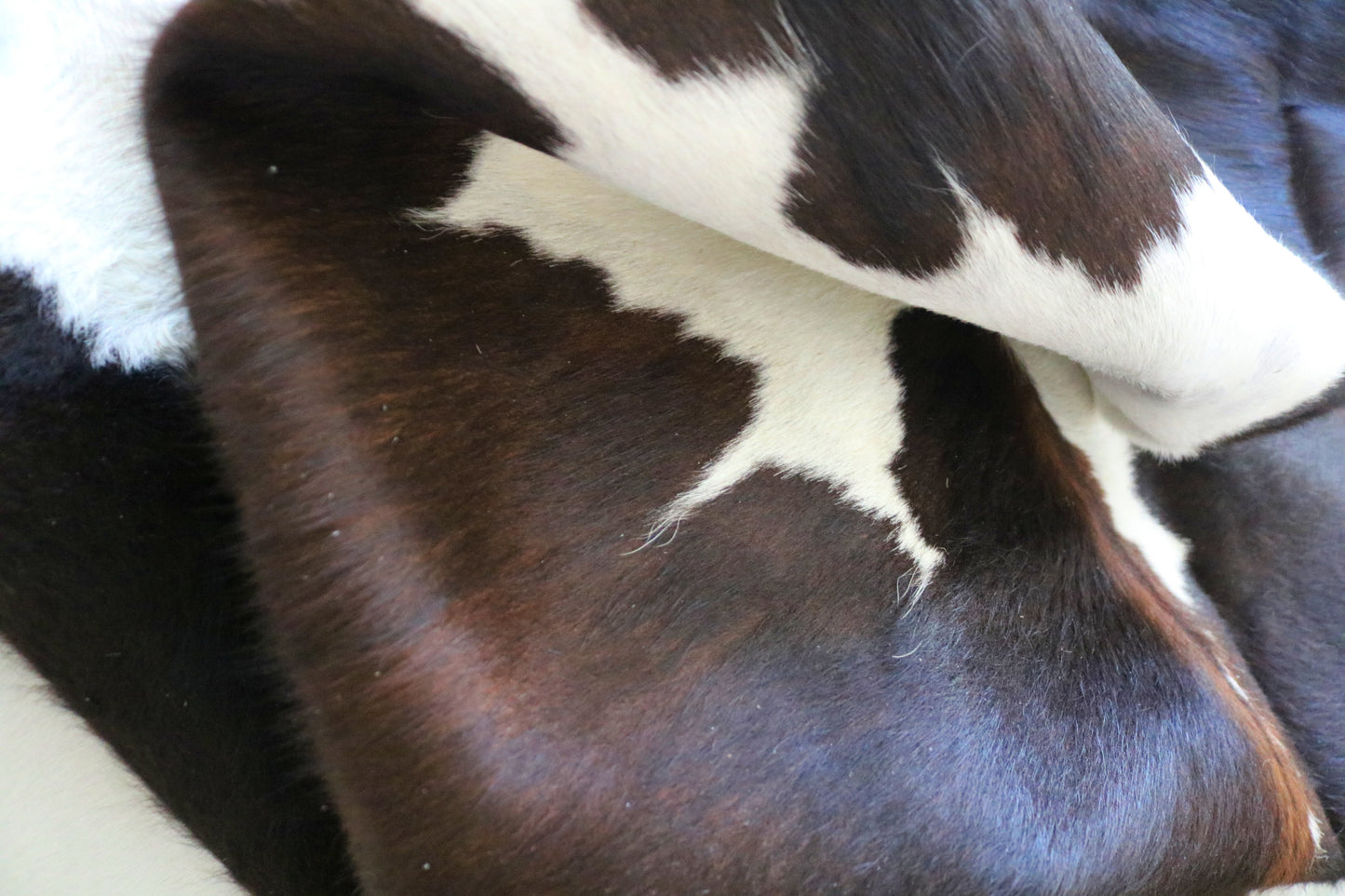 99256- Cowhide Rug Tapis Peau de Vache - Collection Quebecuir Premium