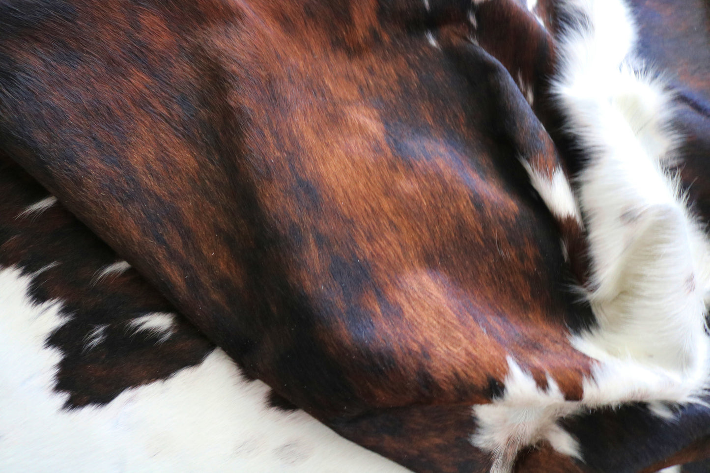 99261- Cowhide Rug Tapis Peau de Vache - Collection Quebecuir Premium