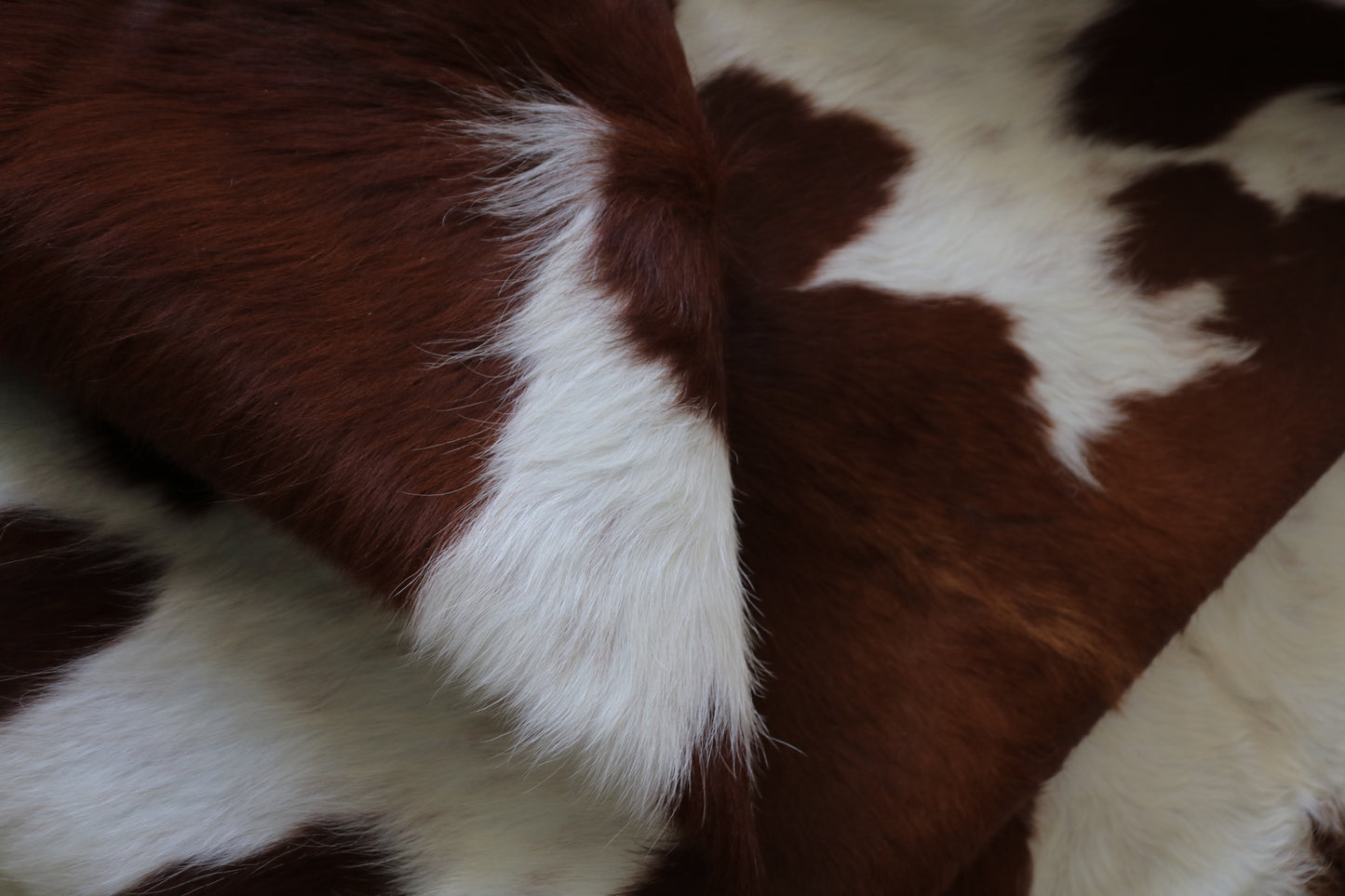 200538- Cowhide Rug Tapis Peau de Vache -BROWN & WHITE Collection Quebecuir Premium
