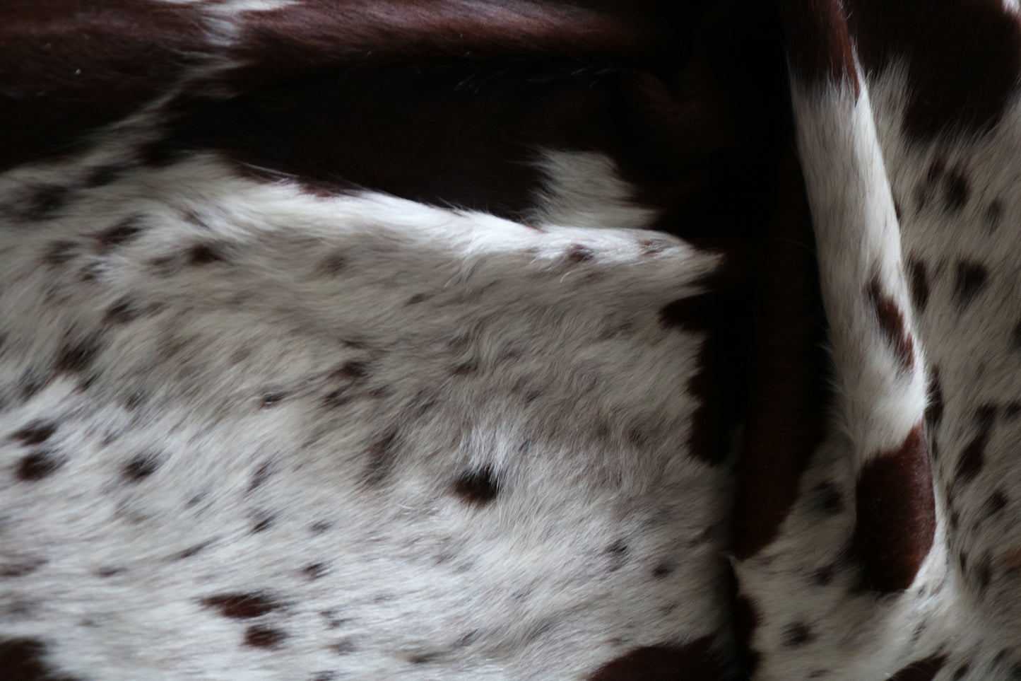 99344- Cowhide Rug Tapis Peau de Vache -TRICOLOR Collection Quebecuir Premium