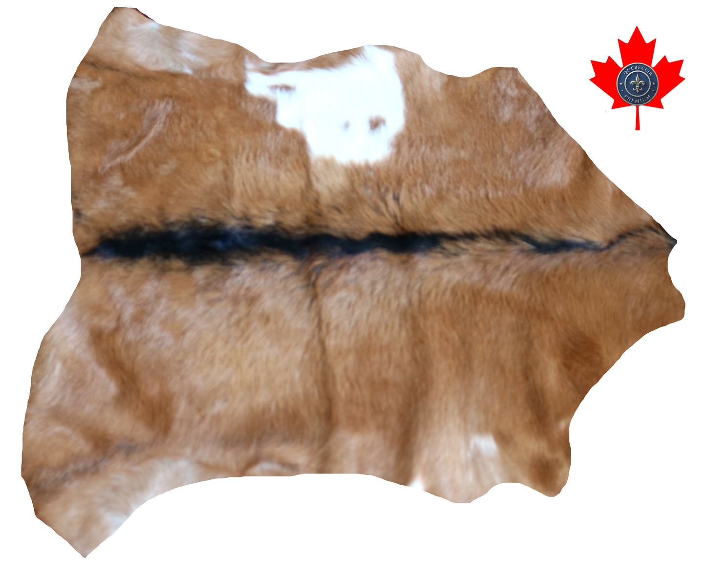 200563 GOAT CHEVRE Collection Quebecuir Premium