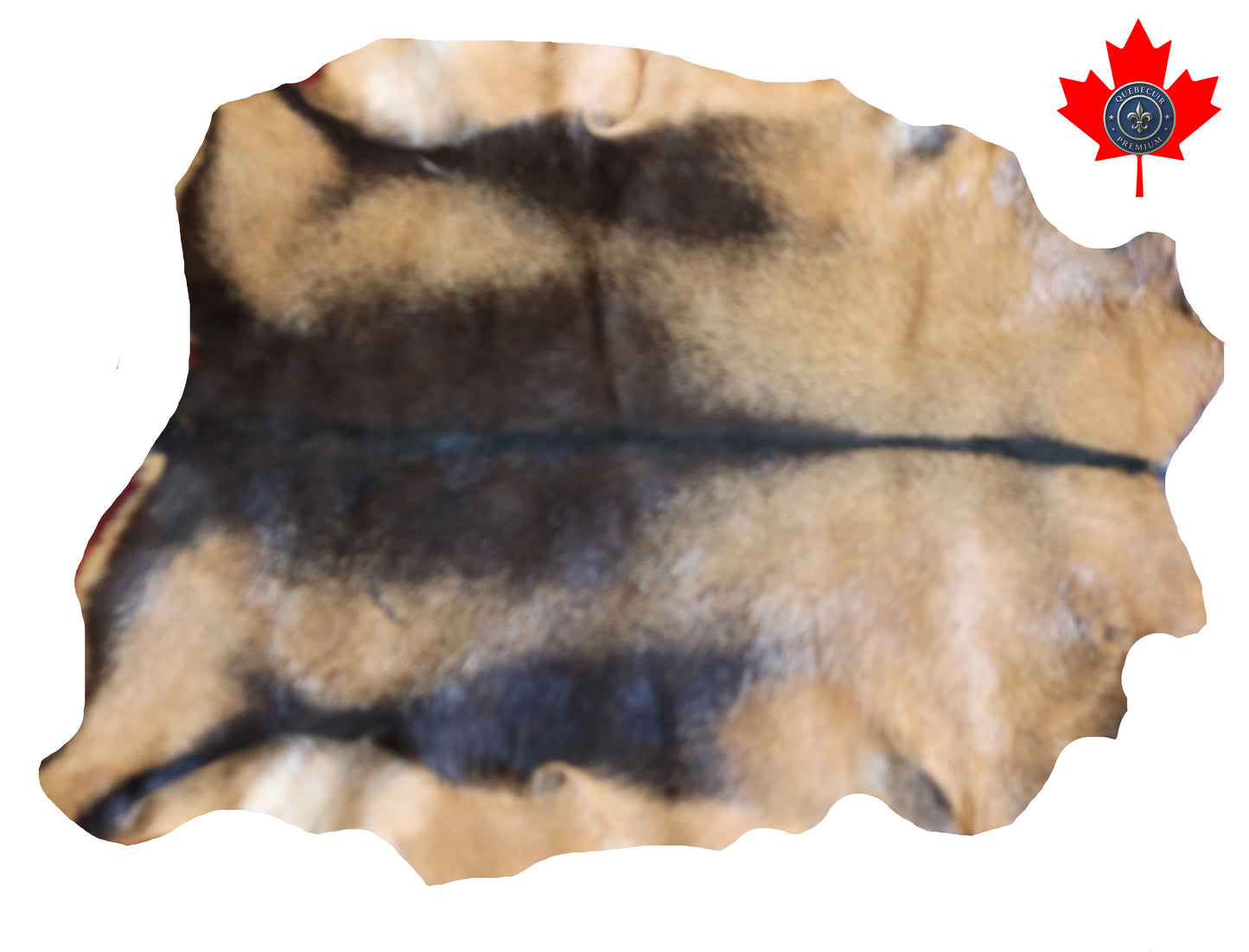 200565 GOAT CHEVRE Collection Quebecuir Premium