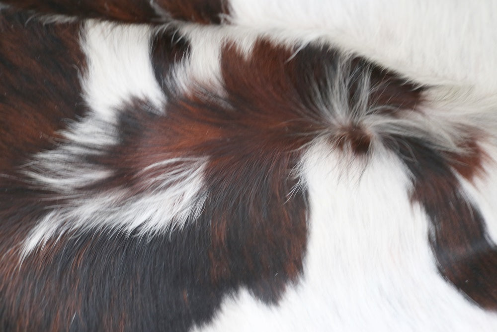98102 - Cowhide Rug Tapis Peau de Vache SUPER BIG SIZE XXXL TRICOLOR - Collection Quebecuir Premium