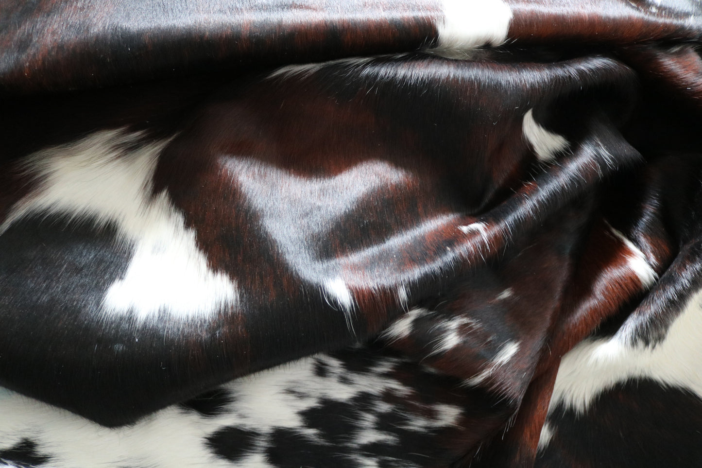 99718 Cowhide rug TRICOLOR Collection Quebecuir Premium SUPER BIG SIZE XXXL