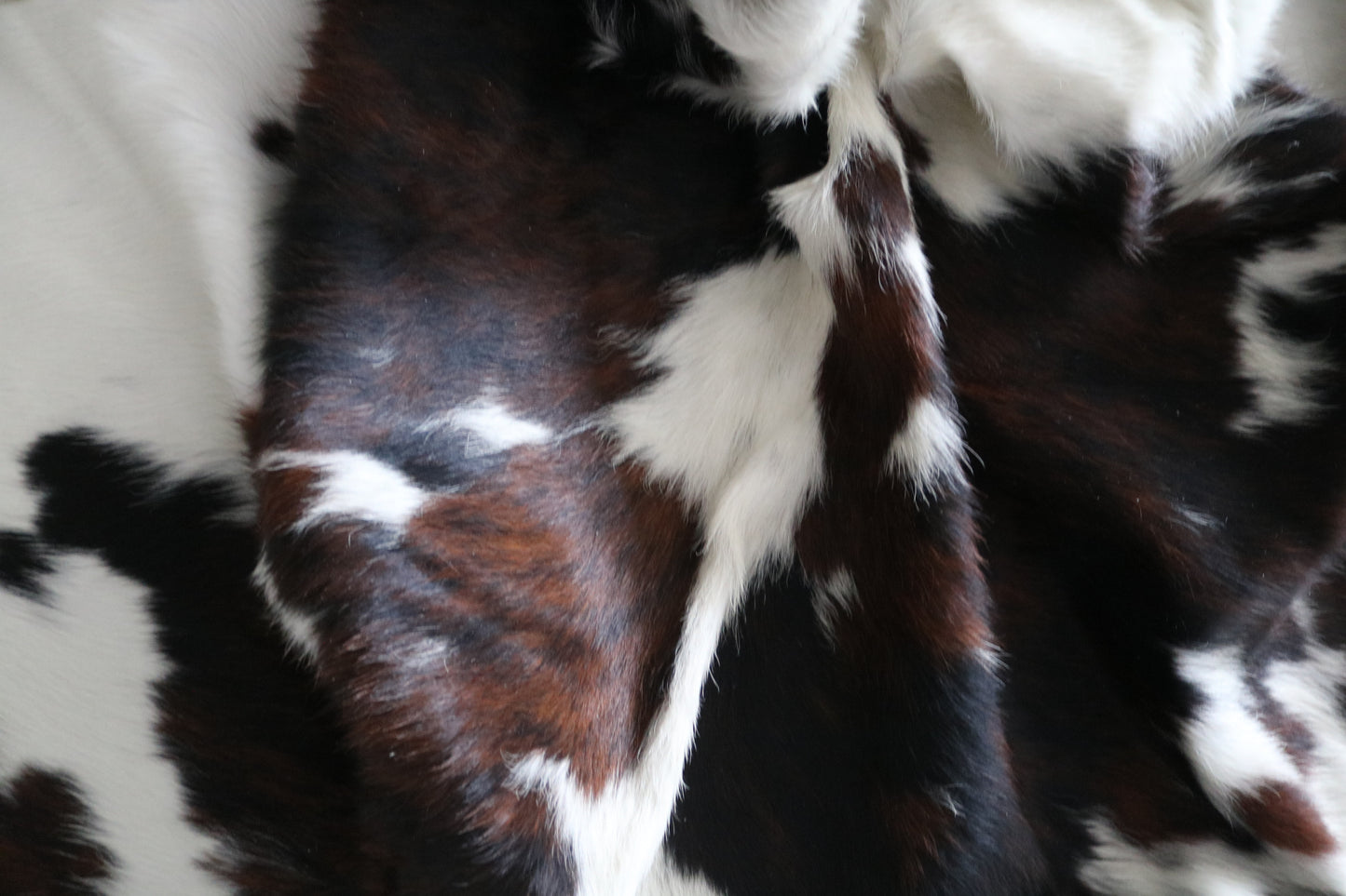 99723 Cowhide rug TRICOLOR Collection Quebecuir Premium