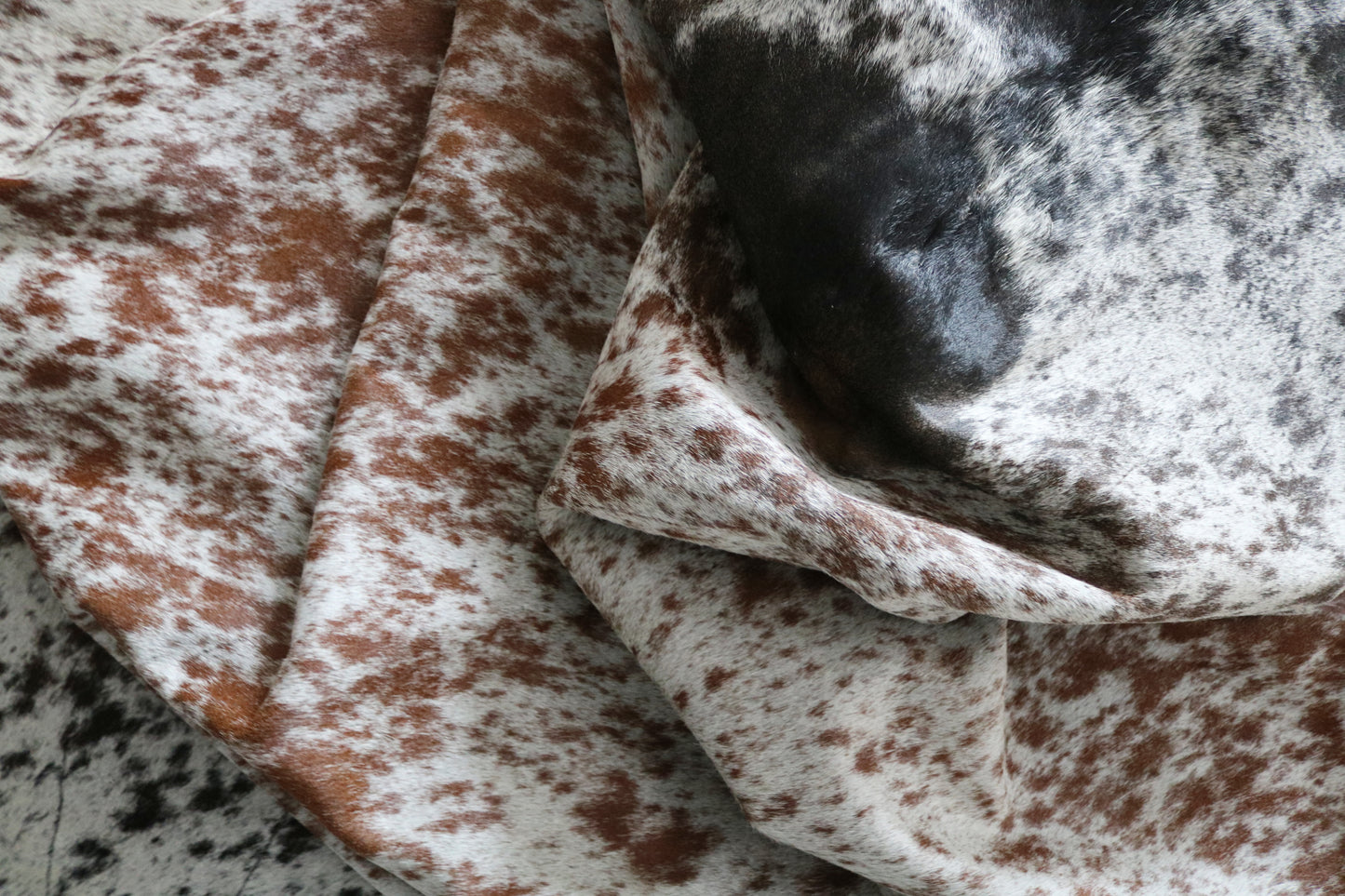 99724 Cowhide rug TRICOLOR Collection Quebecuir Premium SUPER BIG SIZE XXXL