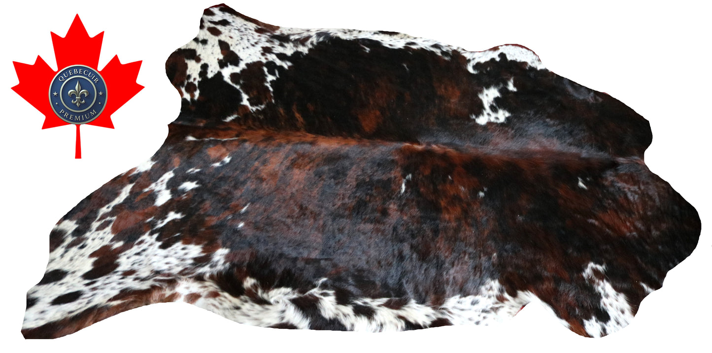 99725 Cowhide rug TRICOLOR Collection Quebecuir Premium SUPER BIG SIZE XXXL