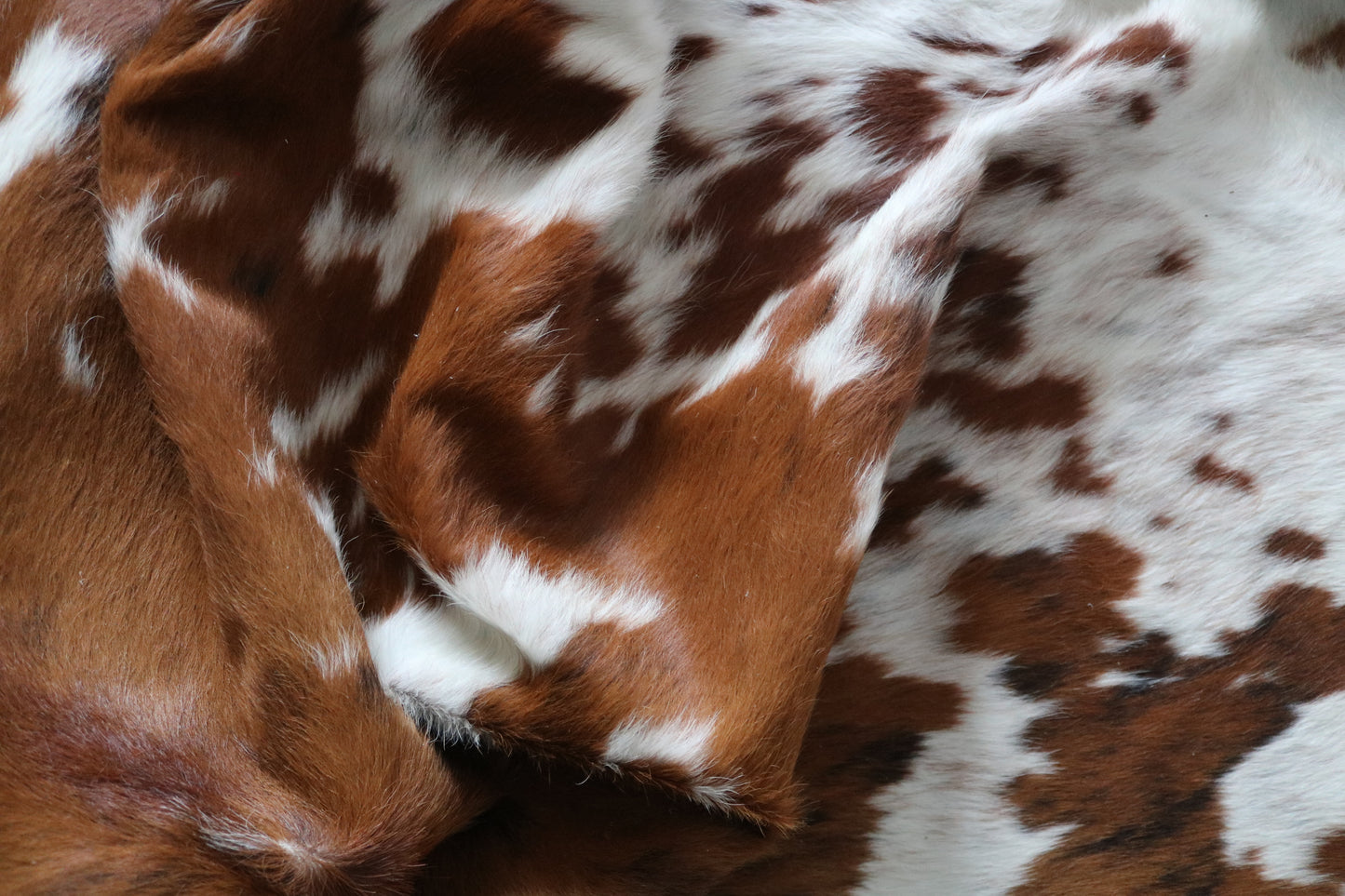 99726 Cowhide rug TRICOLOR Collection Quebecuir Premium