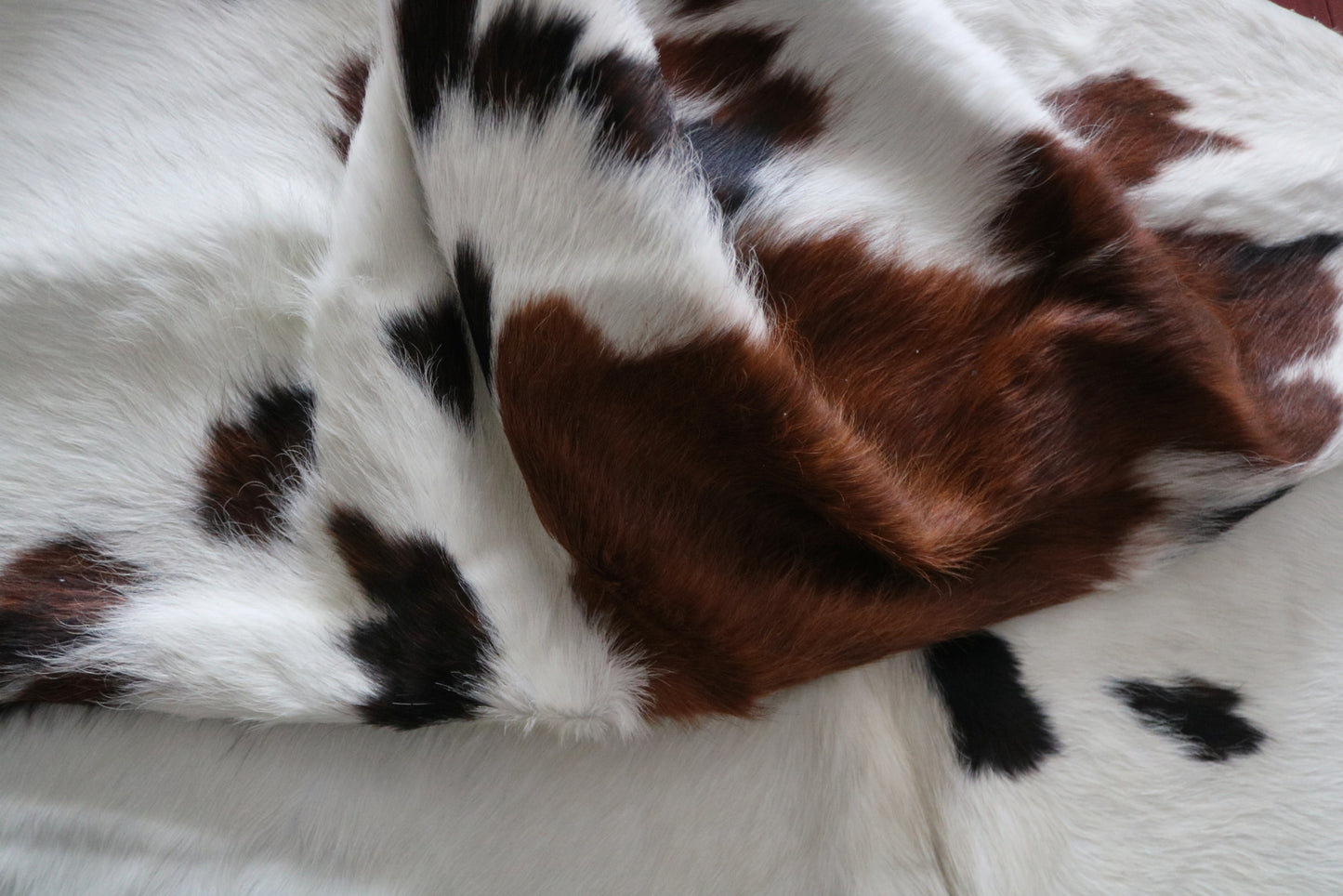 99728 Cowhide rug TRICOLOR Collection Quebecuir Premium