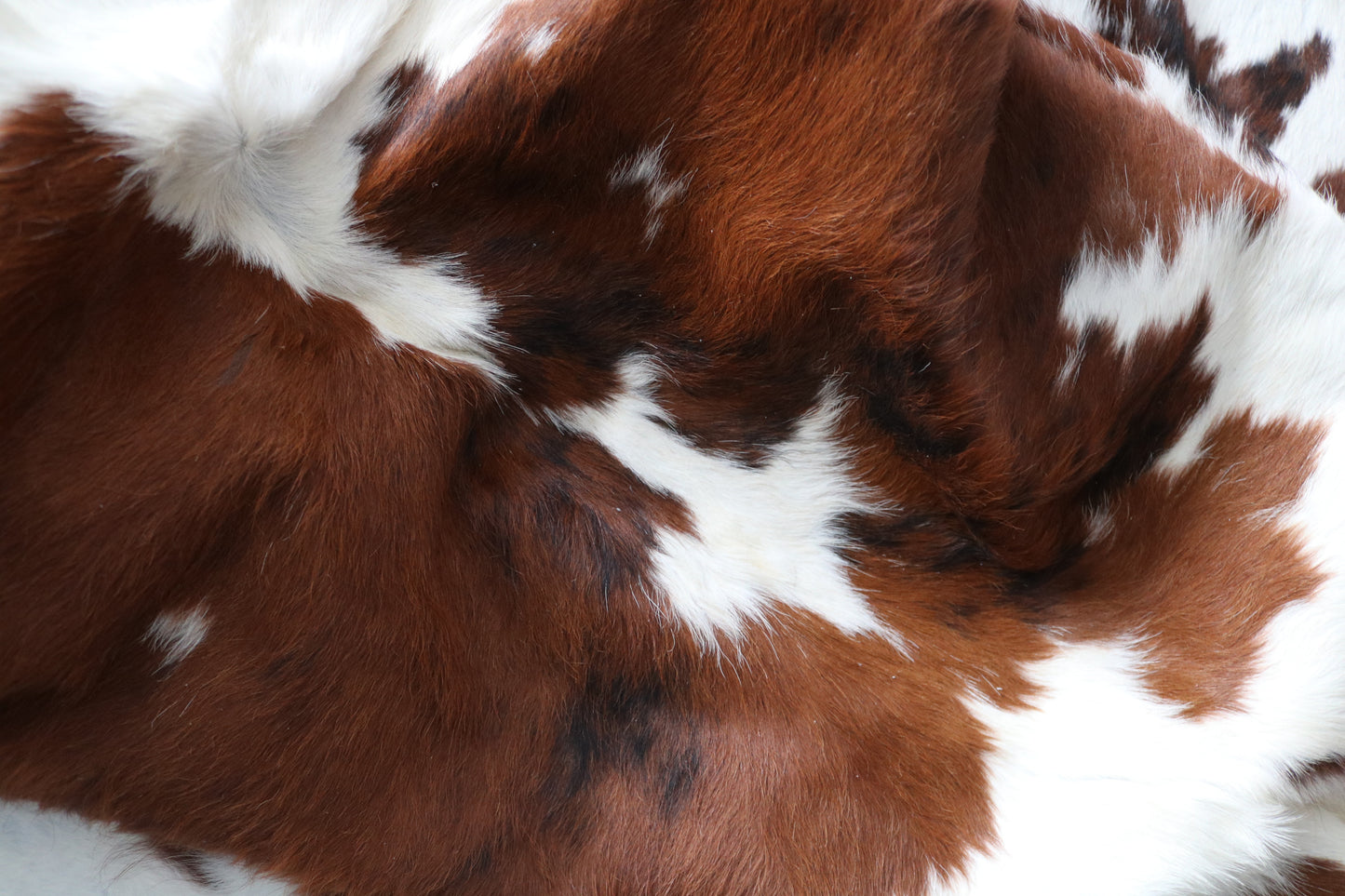 99730 Cowhide rug TRICOLOR Collection Quebecuir Premium