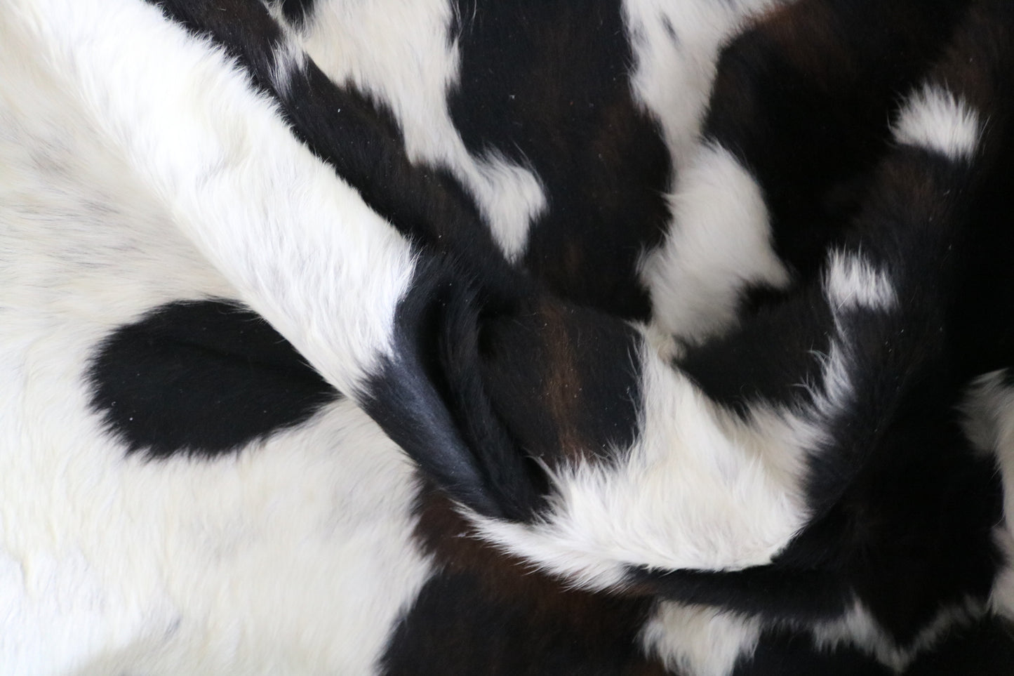 99749 Cowhide rug TRICOLOR Collection Quebecuir Premium