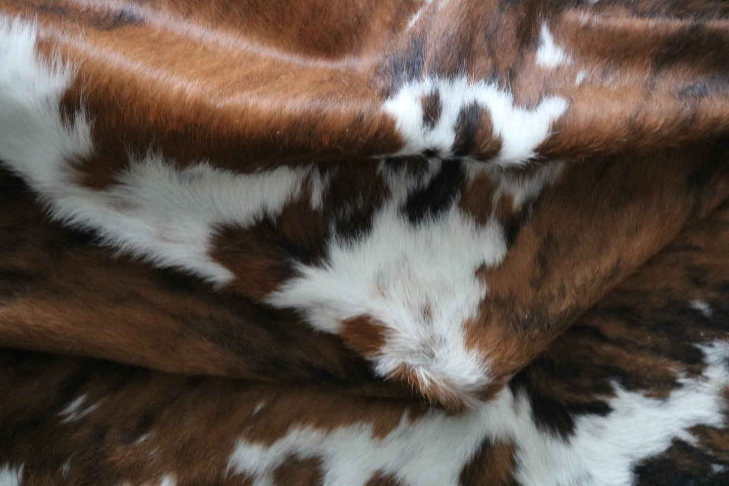 99755 Cowhide rug TRICOLOR Collection Quebecuir Premium