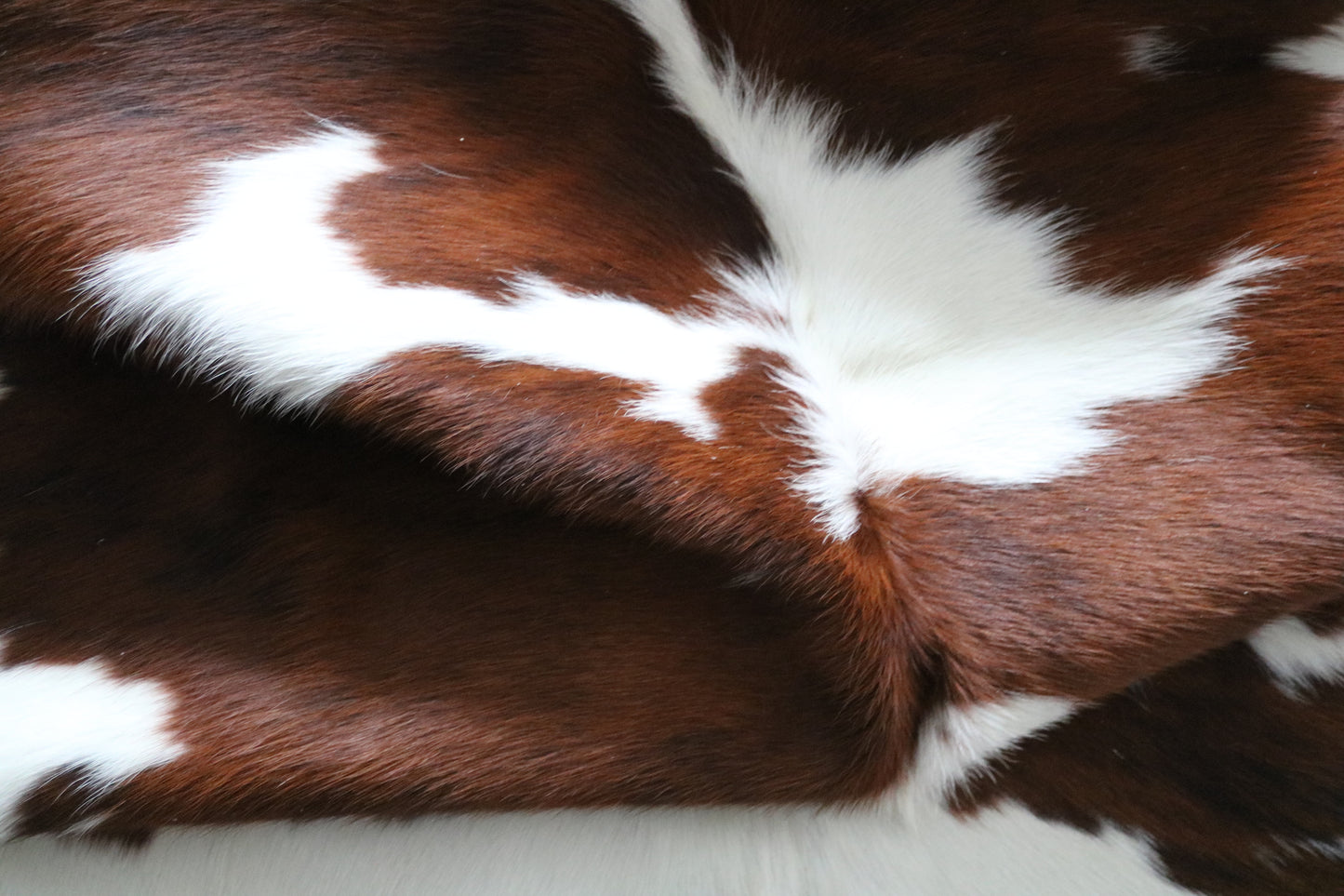 99762 Cowhide rug TRICOLOR Collection Quebecuir Premium