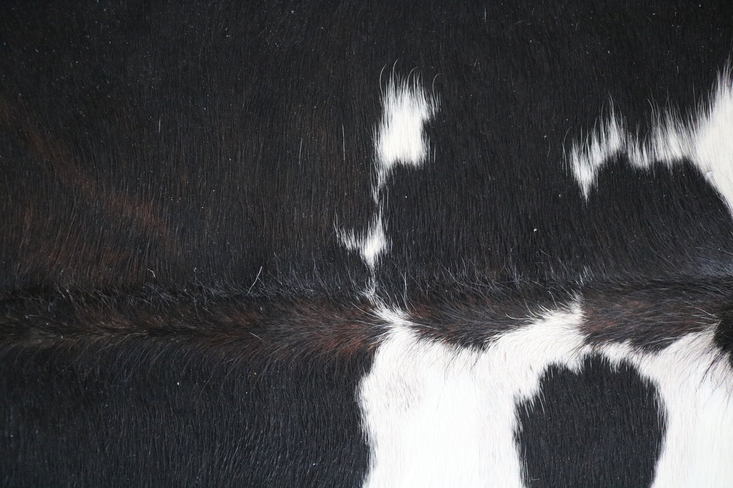 98150 - Cowhide Rug Tapis Peau de Vache SUPER BIG SIZE XXXL TRICOLOR - Collection Quebecuir Premium