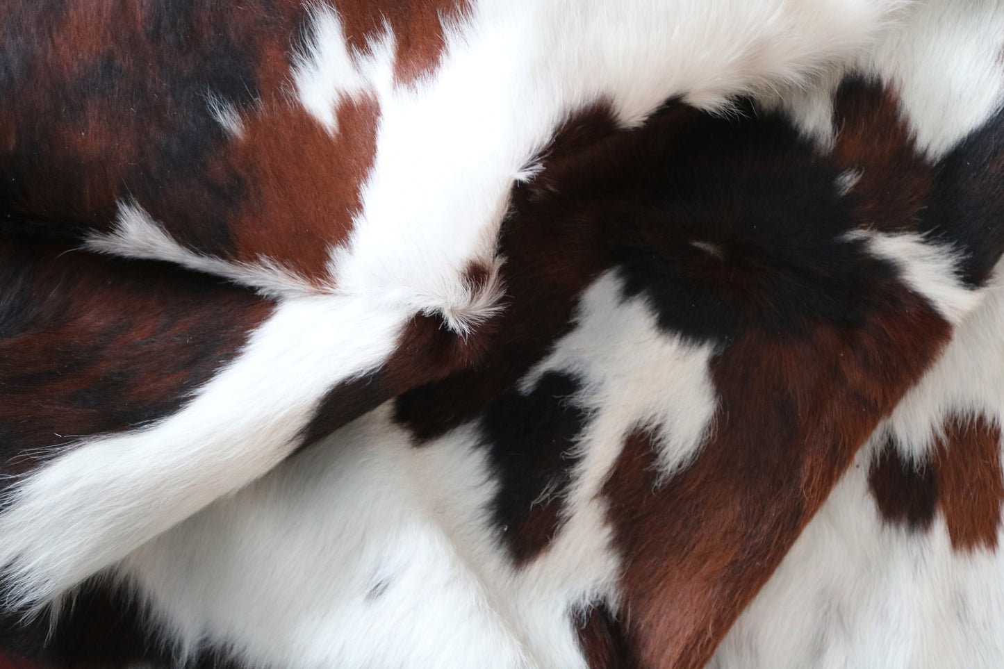 99770 Cowhide rug TRICOLOR Collection Quebecuir Premium