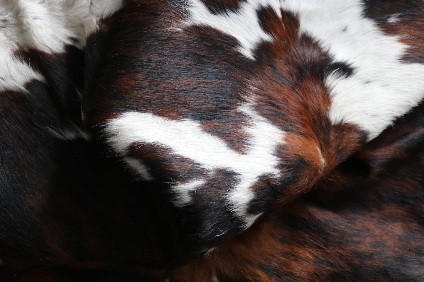 99774 Cowhide rug TRICOLOR Collection Quebecuir Premium