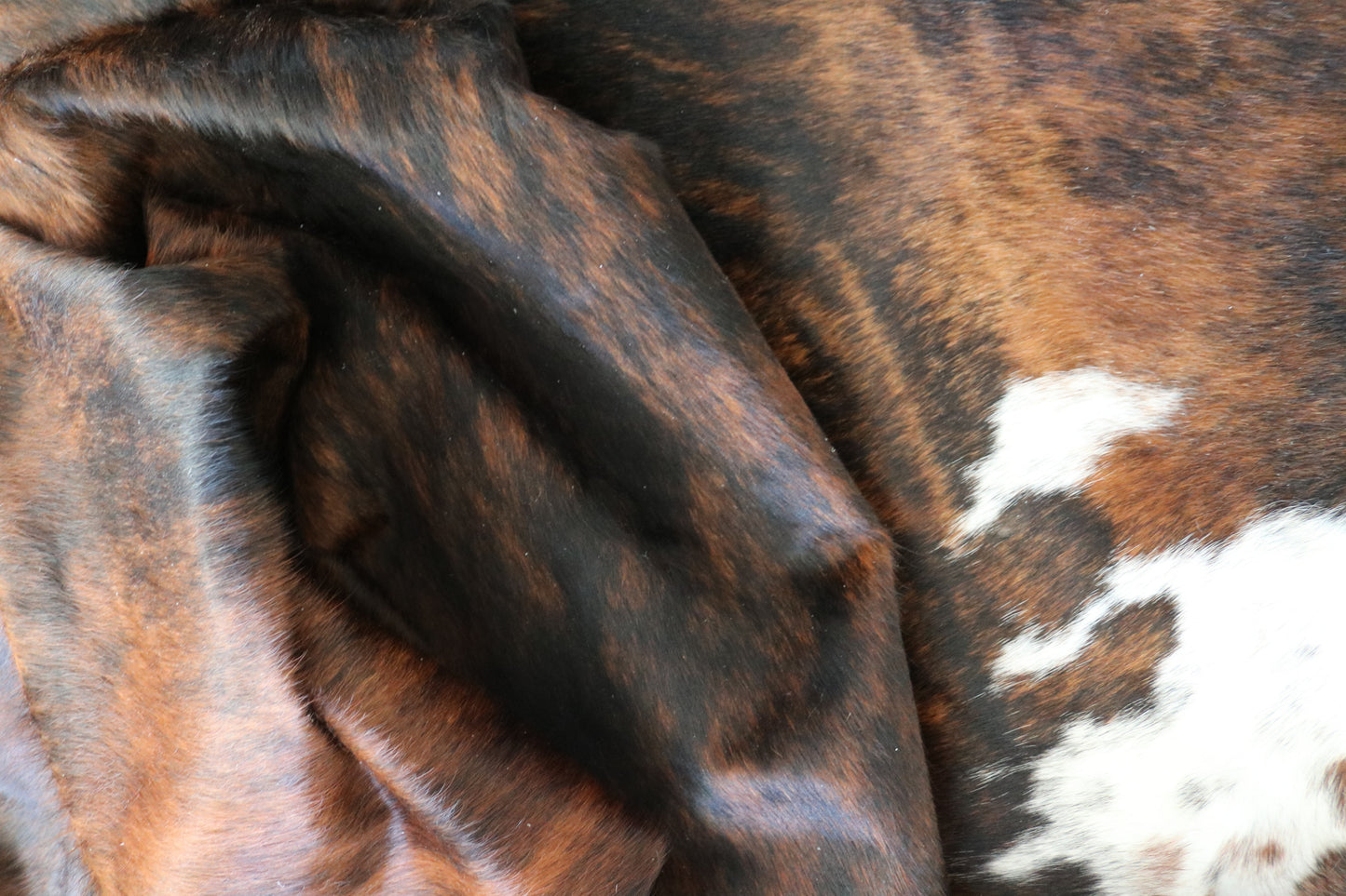 99794 Cowhide rug Collection Quebecuir Premium SUPER BIG SIZE XXXL