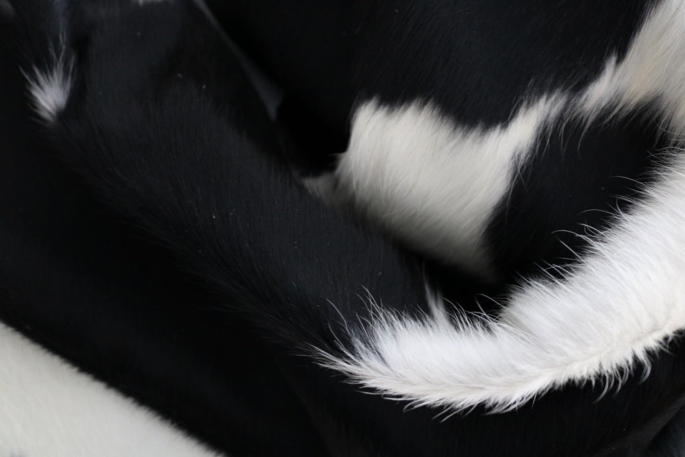 98169 - Cowhide Rug Tapis Peau de Vache BLACK&WHITE - Collection Quebecuir Premium