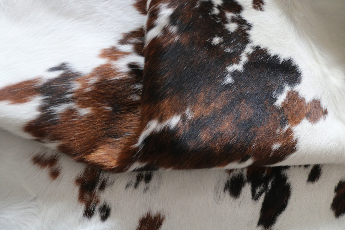 99823 Cowhide rug TRICOLOR Collection Quebecuir Premium