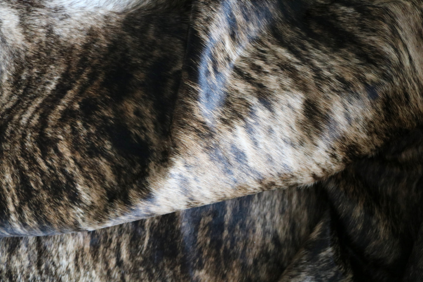 99858 Cowhide rug TRICOLOR Collection Quebecuir Premium