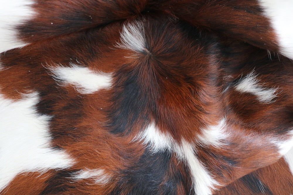98223 - Cowhide Rug TRICOLOR - Collection Quebecuir Premium