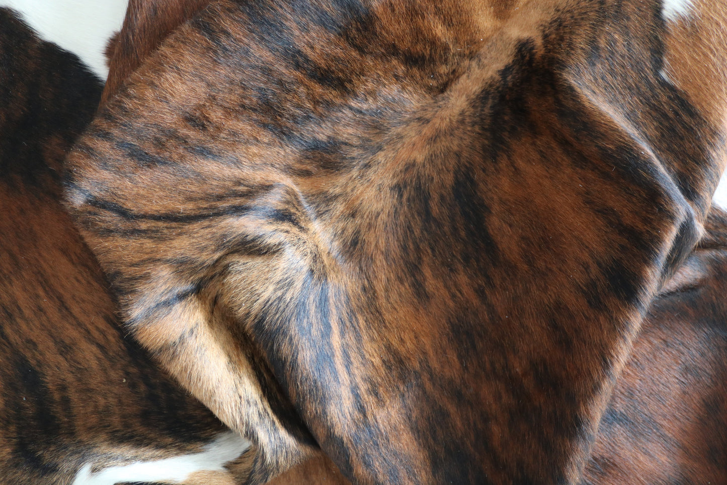 99878 Cowhide rug TRICOLOR Collection Quebecuir Premium