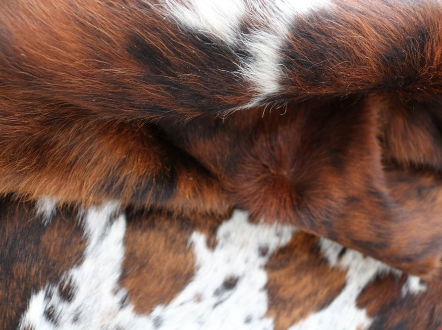 98234 - Cowhide Rug Tapis Peau de Vache TRICOLOR - Collection Quebecuir Premium