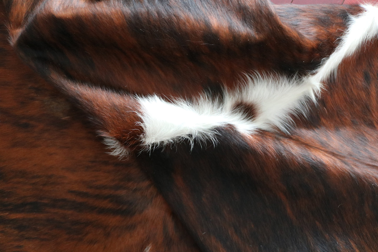 99879 Cowhide rug TRICOLOR Collection Quebecuir Premium