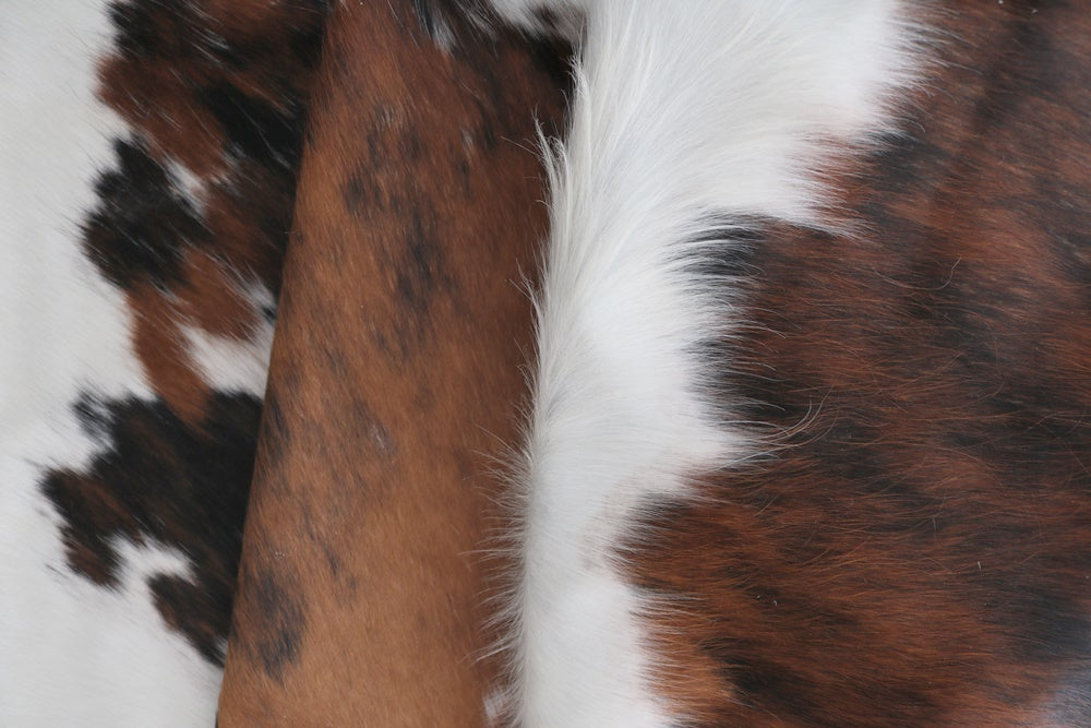 98237 - Cowhide Rug Tapis Peau de Vache SUPER BIG SIZE XXXL TRICOLOR - Collection Quebecuir Premium