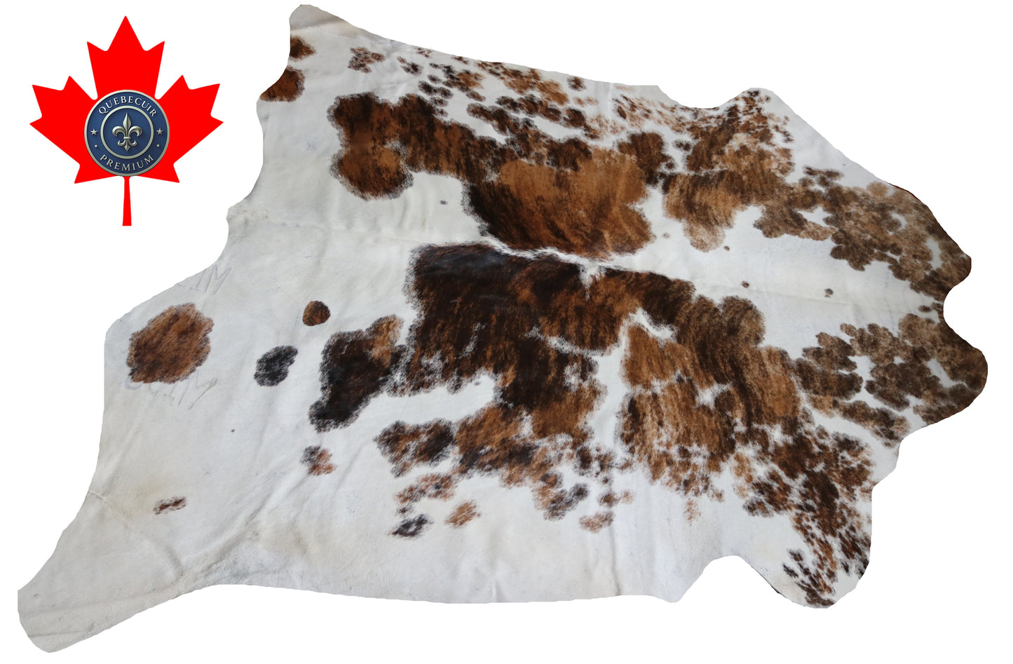 99880 Cowhide rug TRICOLOR Collection Quebecuir Premium