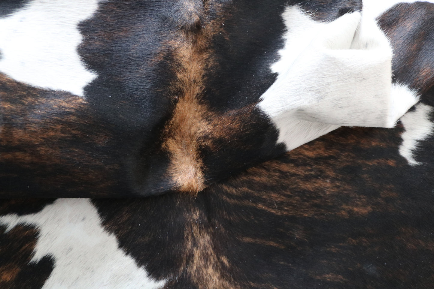 99887 Cowhide rug TRICOLOR Collection Quebecuir Premium