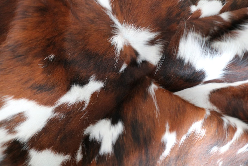 98255 - Cowhide Rug Tapis Peau de Vache TRICOLOR - Collection Quebecuir Premium
