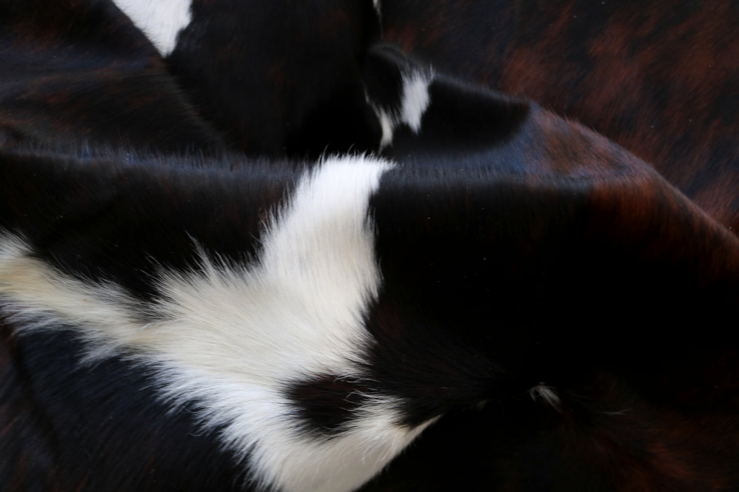 99892 Cowhide rug TRICOLOR Collection Quebecuir Premium