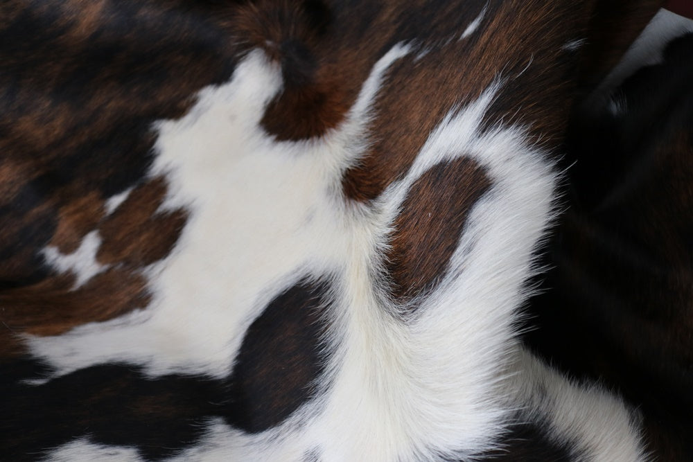 98262 - Cowhide Rug Tapis Peau de Vache SUPER BIG SIZE XXXL TRICOLOR - Collection Quebecuir Premium