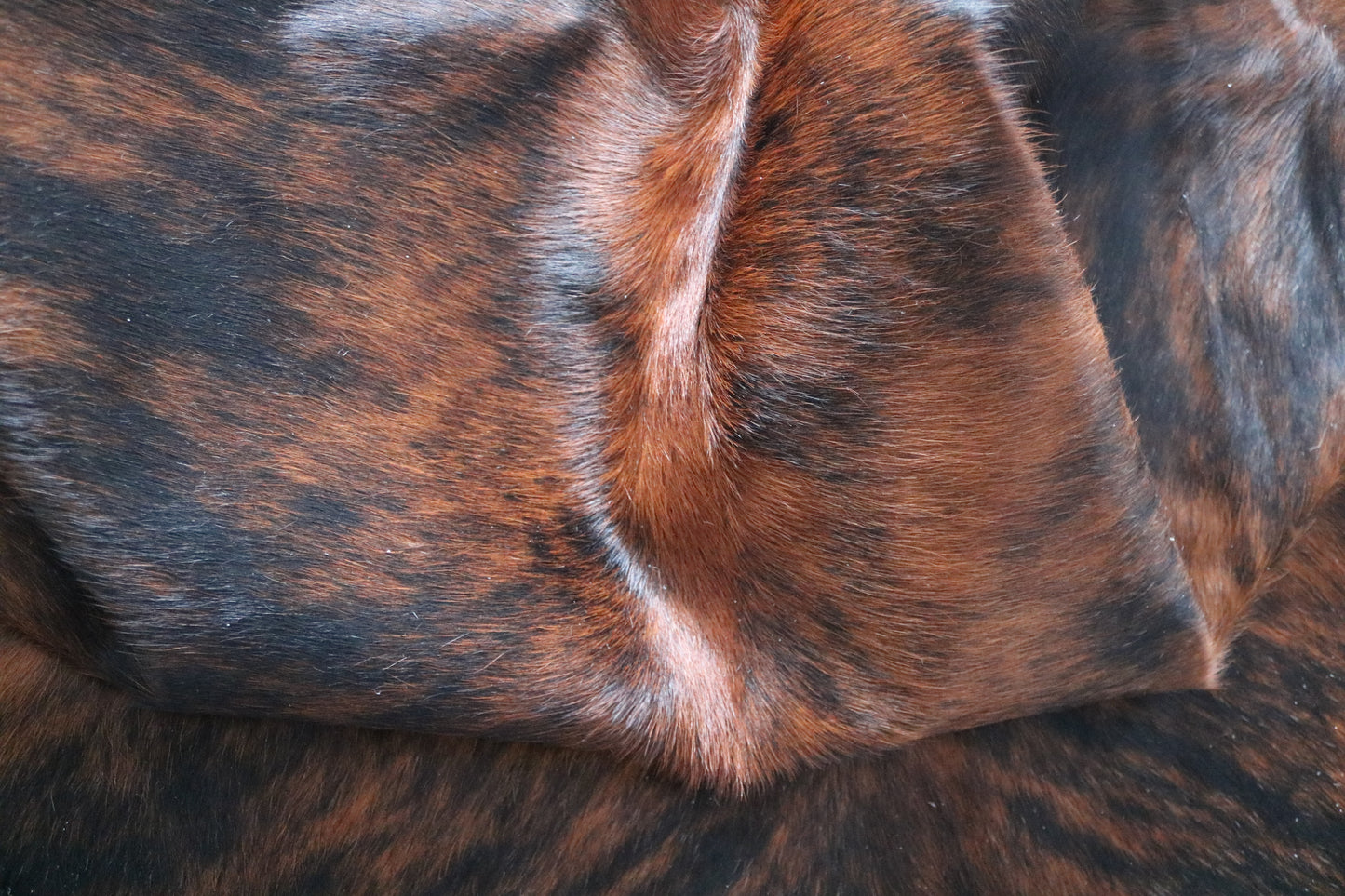 99894 Cowhide rug TRICOLOR Collection Quebecuir Premium