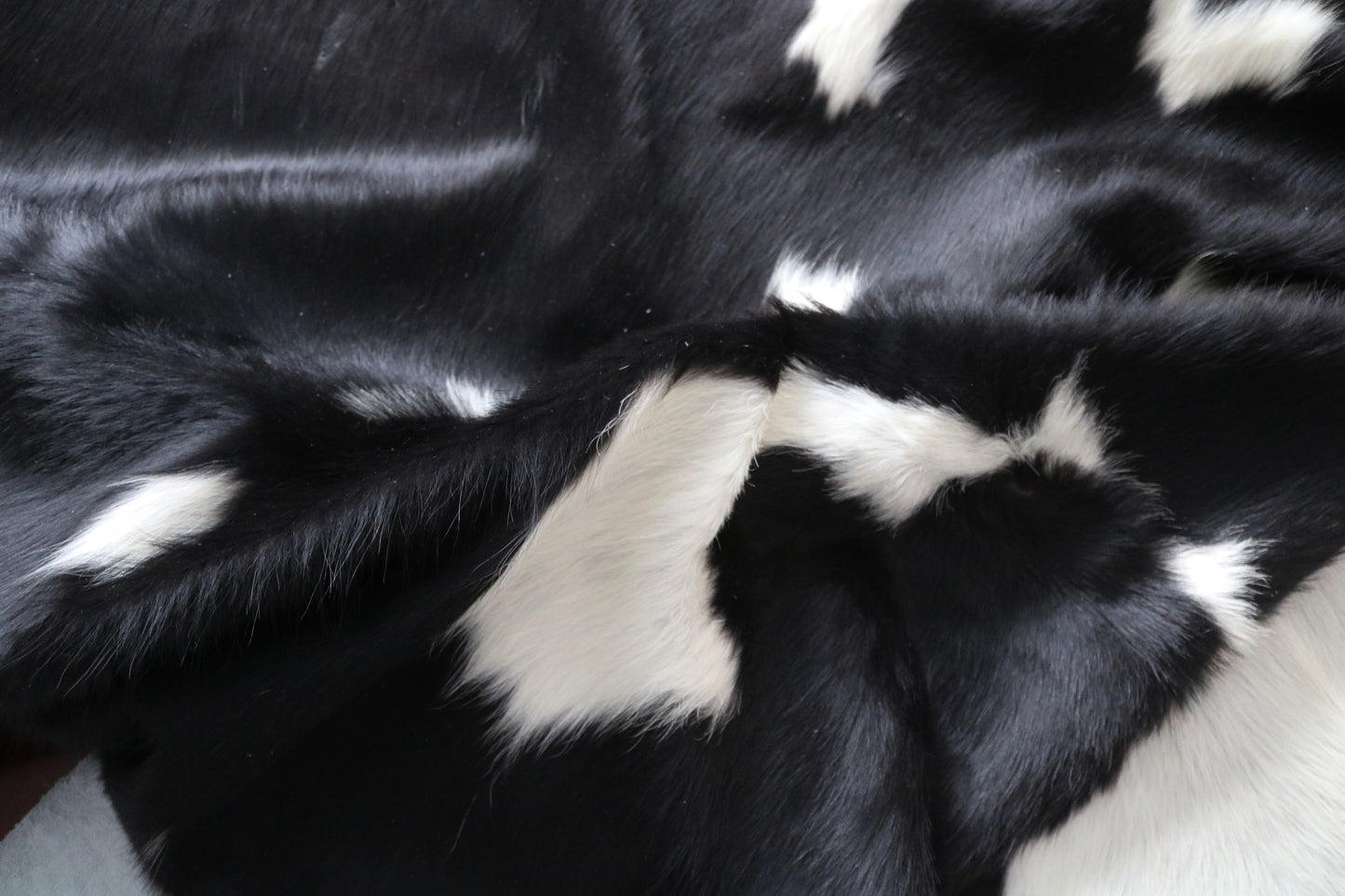 99896 Cowhide rug TRICOLOR Collection Quebecuir Premium